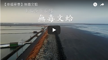 【幸福麥寮】無毒文蛤