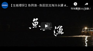 【生態環保】魚與漁 - 魚苗放流海洋永續
