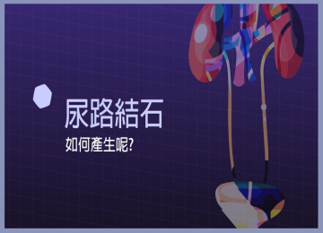 尿路結石如何產生的呢?